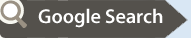 Google Search