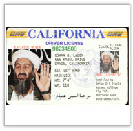 Fake Osama License